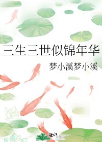 三生三世似錦年華